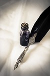 quill pen, ink, feather, old, writing, vintage, calligraphy, retro, antique, inkwell, letter, black, quill pen, quill pen, quill pen, quill pen, quill pen, ink, ink, calligraphy, calligraphy, inkwell